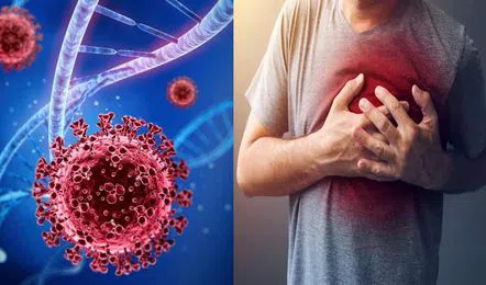 Covid Vaccines Cleared No Link to Sudden Deaths, ICMR Confirms