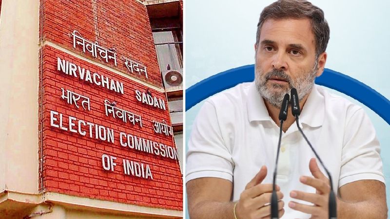 EC Debunks Rahul's Vote Deletion Claims