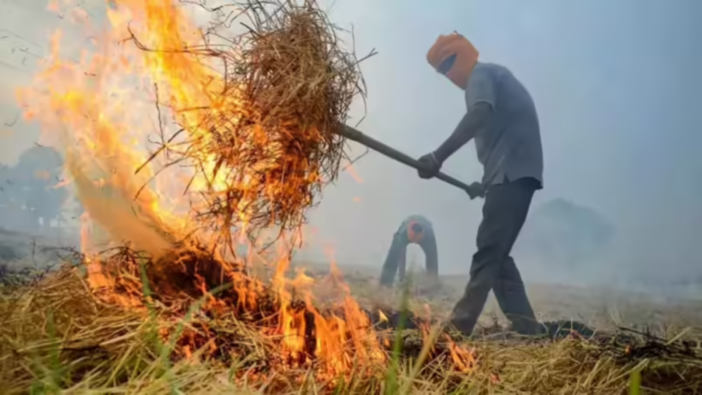 Jail for Stubble Burners SC's Wake-Up Call