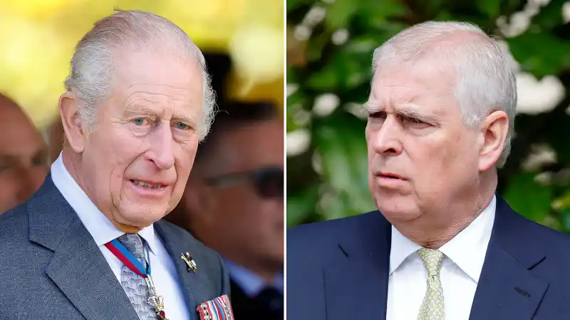 King Charles ousts Prince Andrew in sex scandal storm