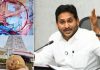 Jagan Dismisses Parakamani Case as a Minor Theft Claim