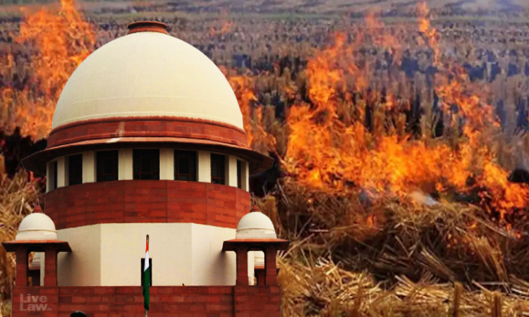 Supreme Court Warns ‘Don’t Politicise Stubble Burning’