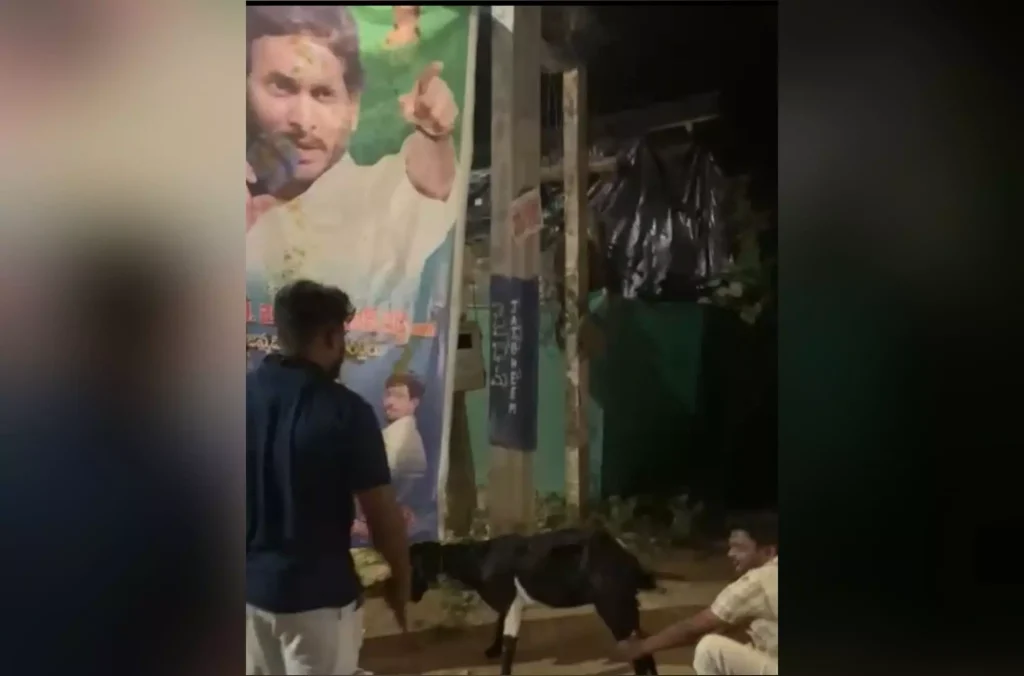 YSRCP Leaders Detained Over Goat Sacrifice Before Jagan Flexi